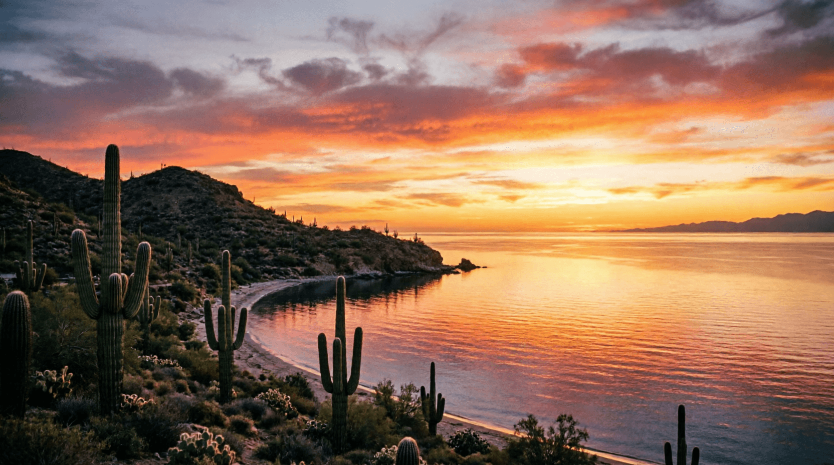 Atardecer sobre la costa de Sonora con el desierto y el mar de Cortés