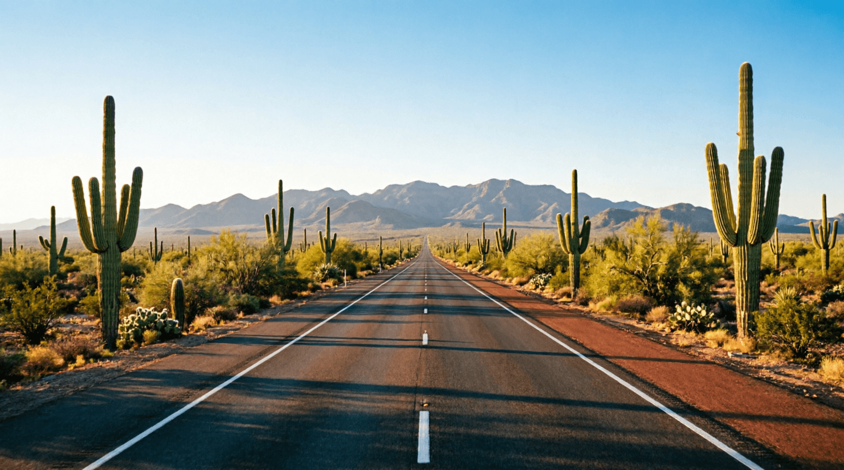 Carretera moderna que atraviesa el desierto sonorense entre saguaros